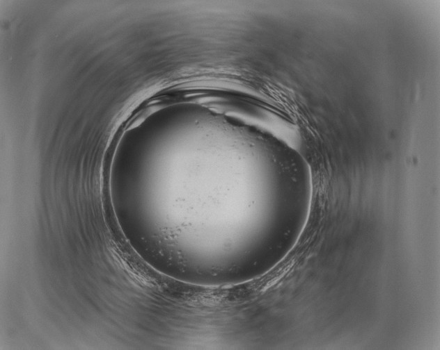 X0000086880148200704231111