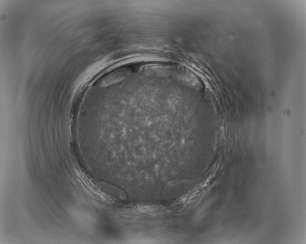 X0000086880149200704231111