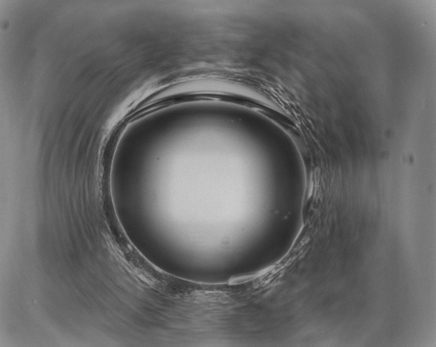 X0000086880150200704231111