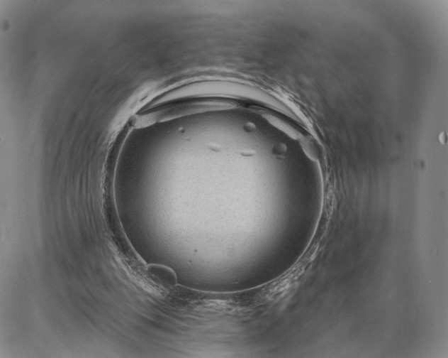 X0000086880151200704231111