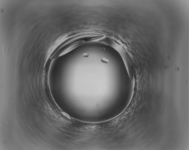 X0000086880152200704231111