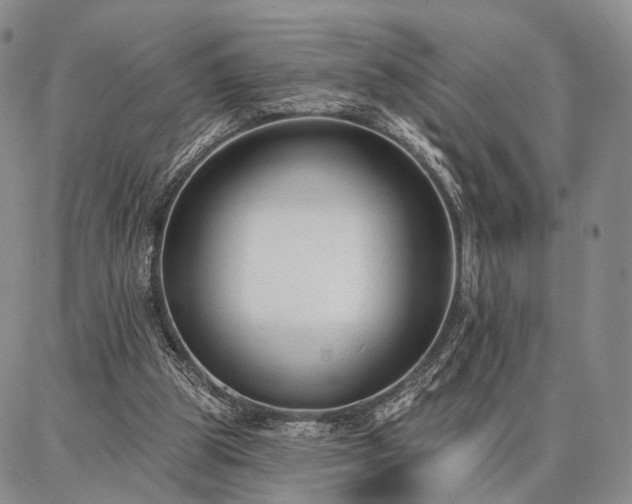 X0000086880153200704231111