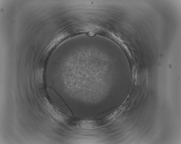 X0000086880154200704231111