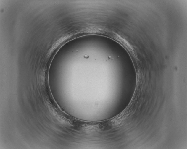 X0000086880155200704231112