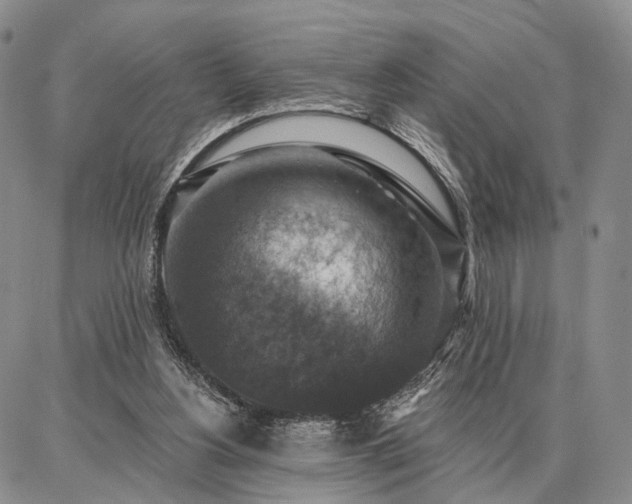 X0000086880156200704231112