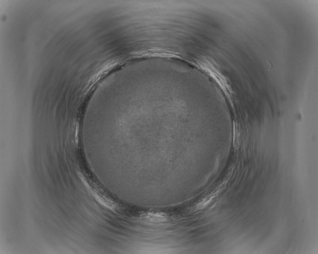 X0000086880157200704231112