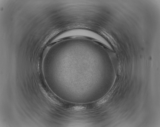 X0000086880158200704231112