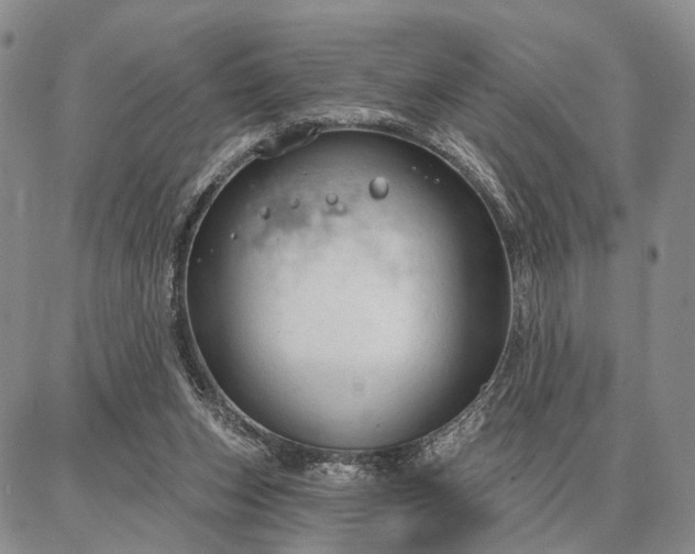 X0000086880159200704231112