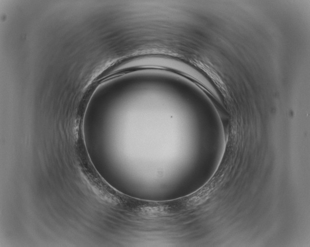 X0000086880160200704231112