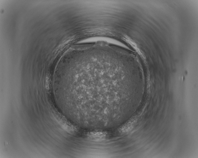 X0000086880161200704231112