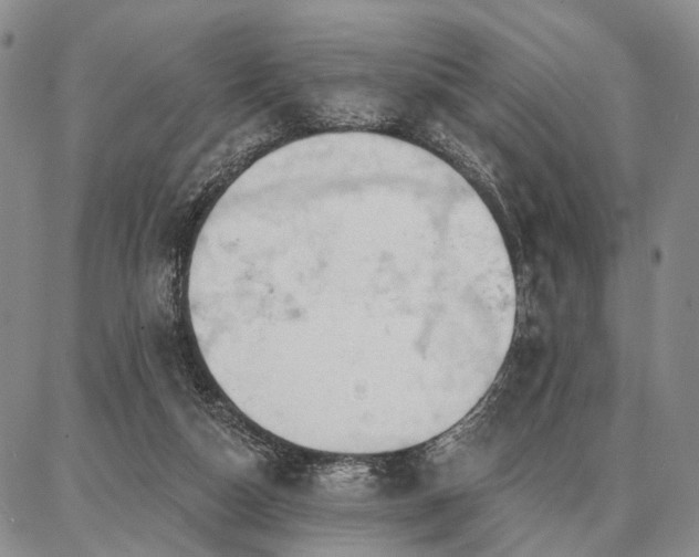 X0000086880162200704231112