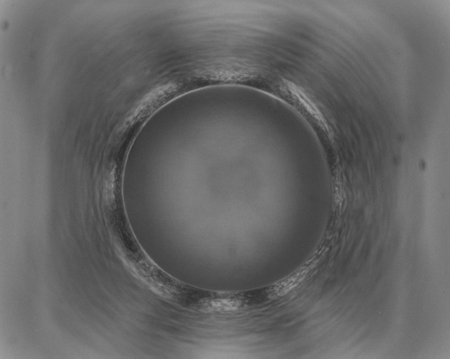 X0000086880163200704231112