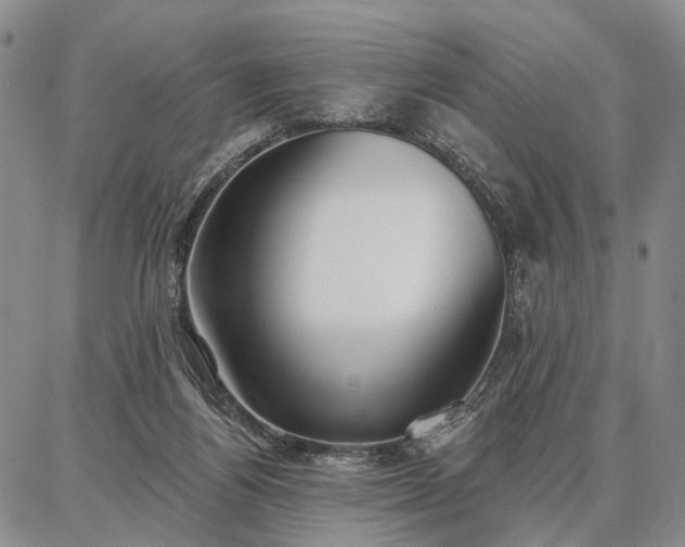 X0000086880164200704231112