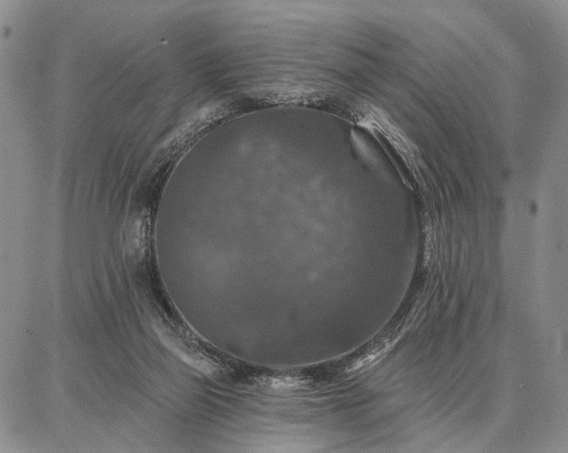 X0000086880165200704231112