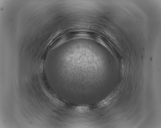 X0000086880168200704231112