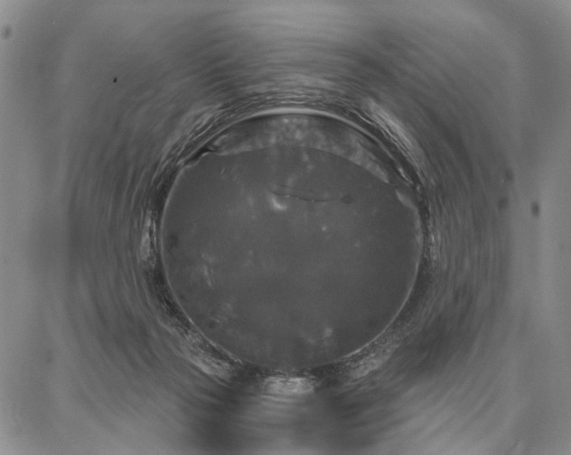 X0000086880169200704231112