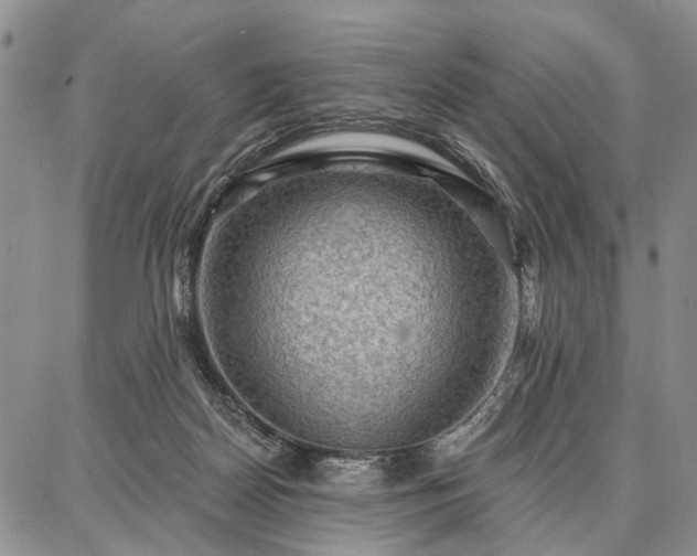 X0000086880170200704231112