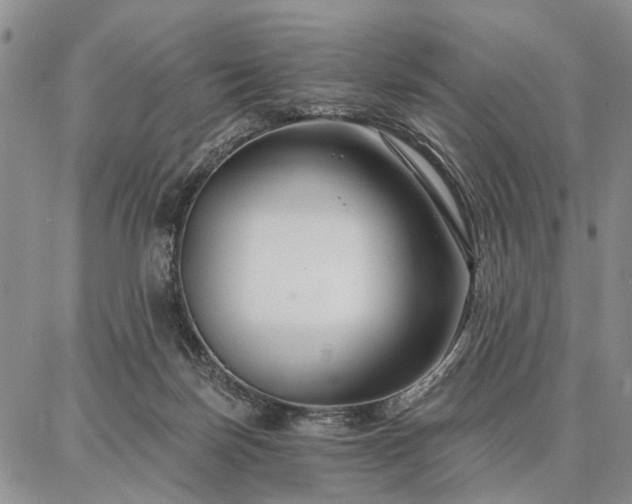 X0000086880171200704231112