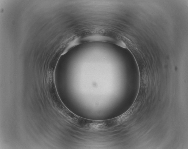 X0000086880172200704231112