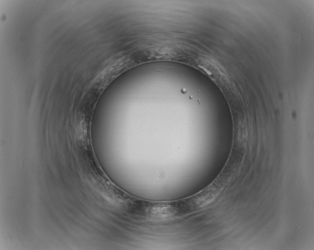 X0000086880173200704231112