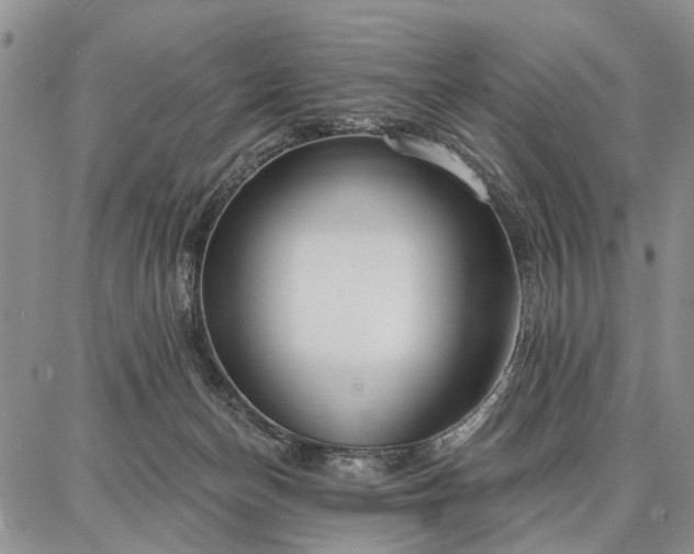 X0000086880174200704231112