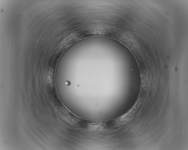 X0000086880175200704231112