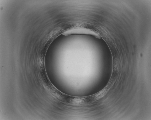 X0000086880176200704231112