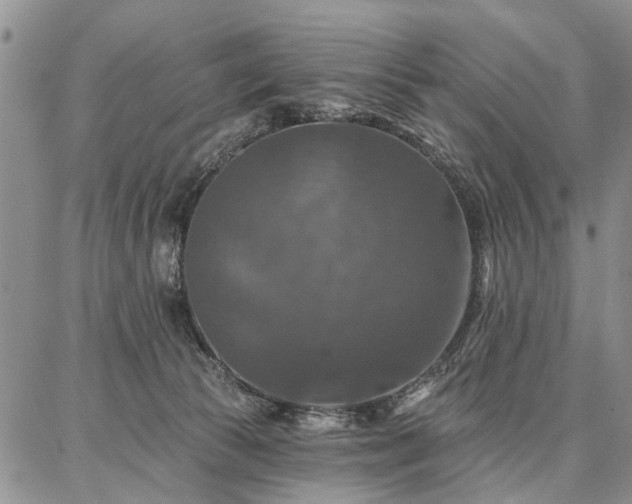 X0000086880177200704231112