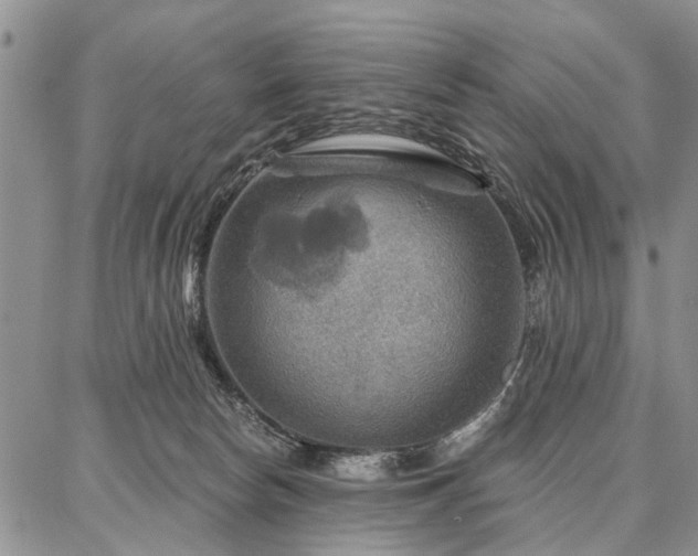 X0000086880178200704231112