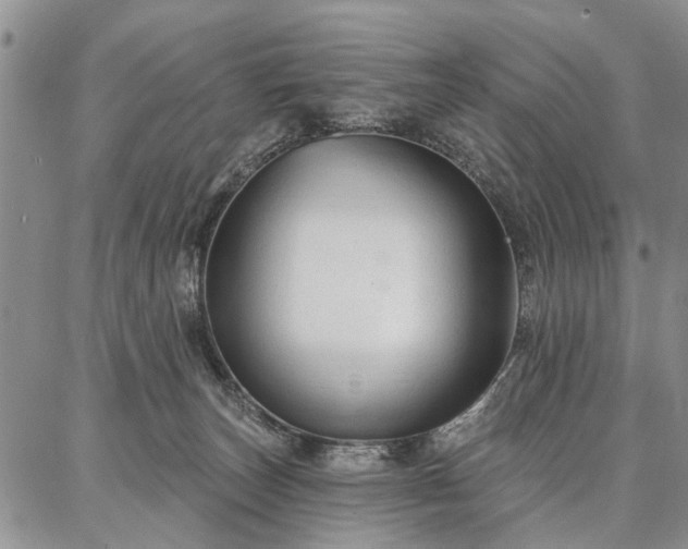 X0000086880179200704231112