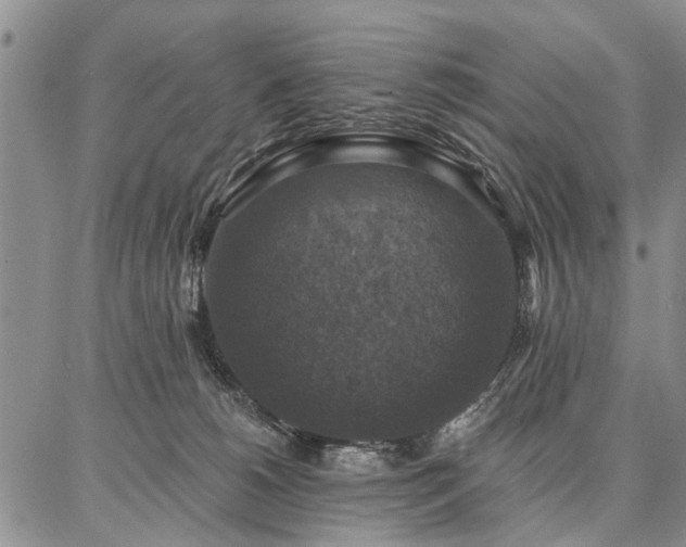 X0000086880180200704231112