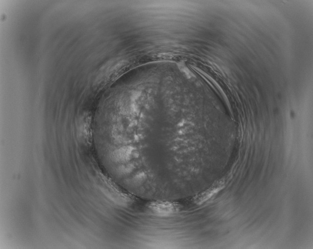 X0000086880181200704231112