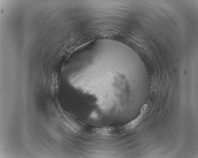 X0000086880182200704231112