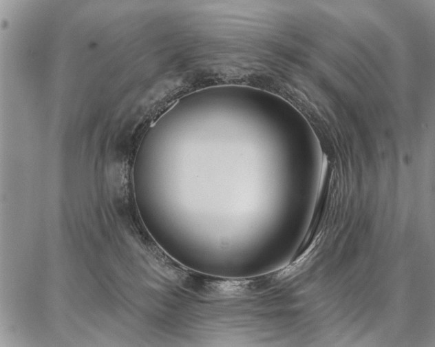 X0000086880184200704231112