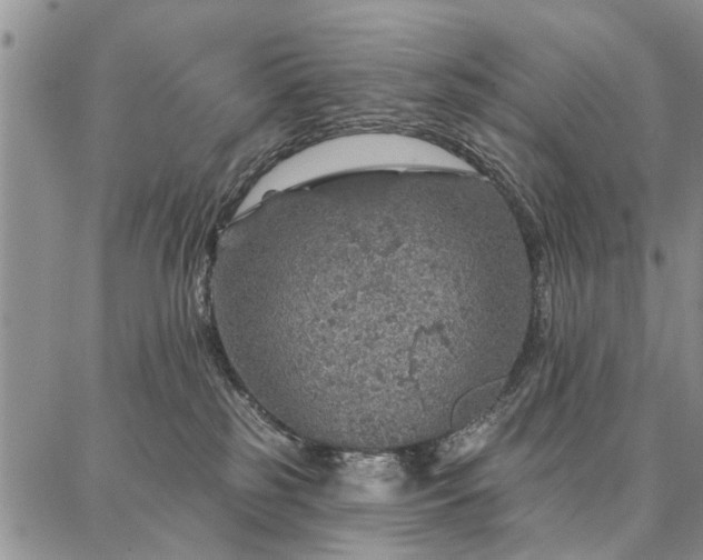 X0000086880185200704231112