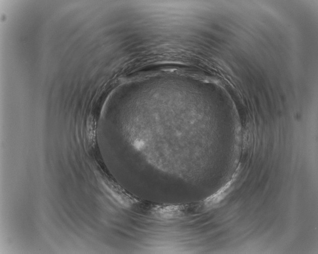 X0000086880186200704231112