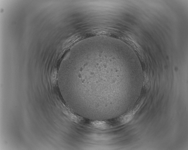 X0000086880189200704231112