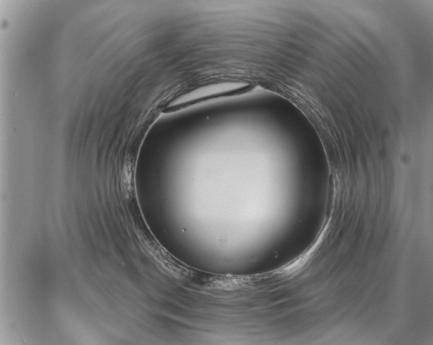 X0000086880190200704231112