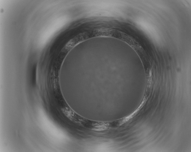 X0000086880191200704231112