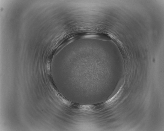 X0000086880192200704231112