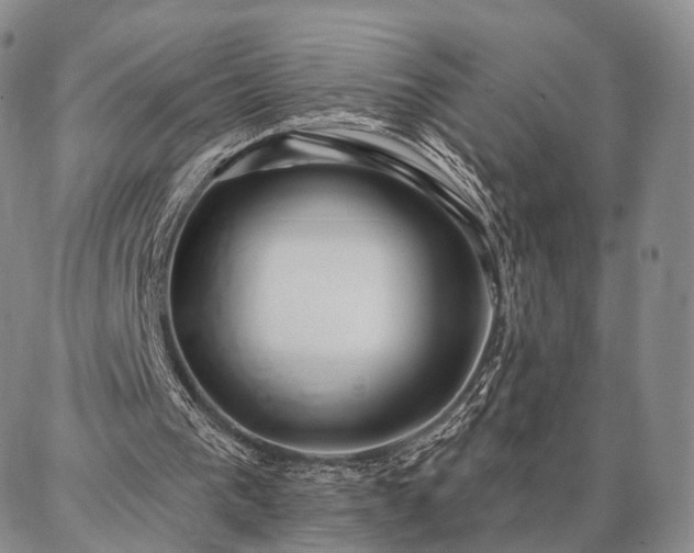 X0000086880193200704231111