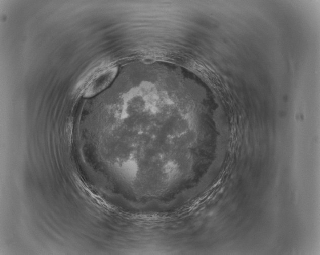 X0000086880194200704231111