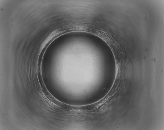 X0000086880195200704231111