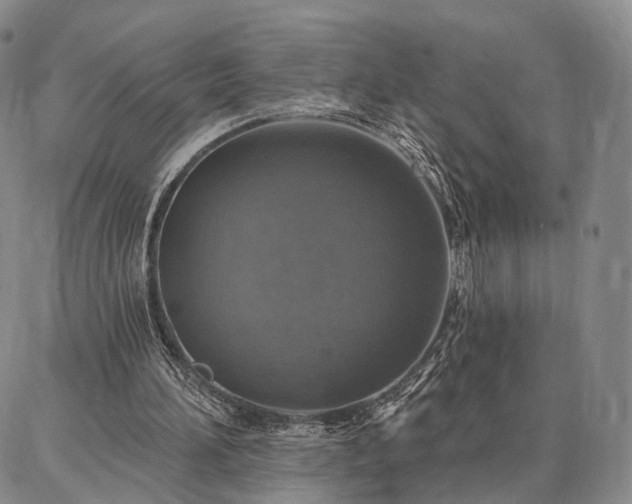 X0000086880196200704231111