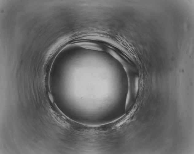 X0000086880197200704231111