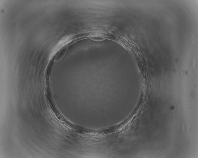 X0000086880198200704231111