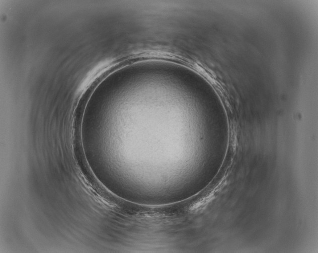 X0000086880199200704231111