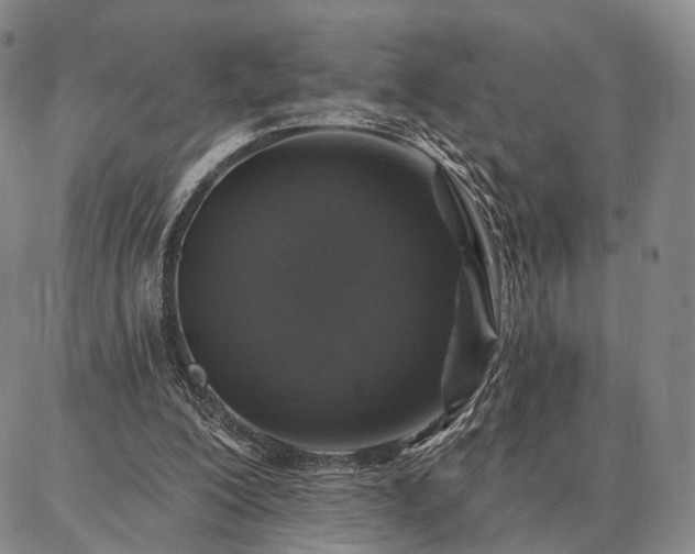 X0000086880200200704231111