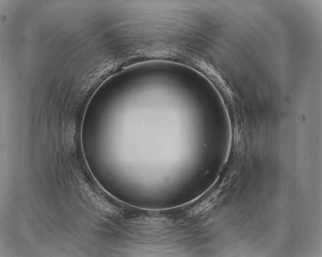 X0000086880201200704231111