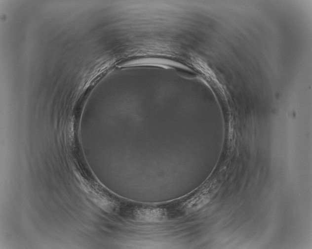 X0000086880202200704231111